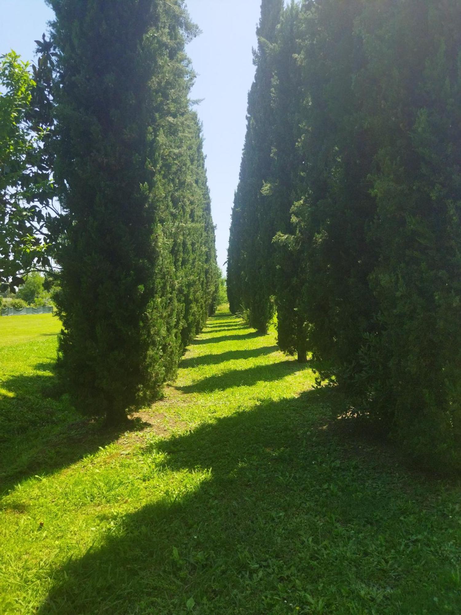 Villa Fontana Капанари Екстериор снимка